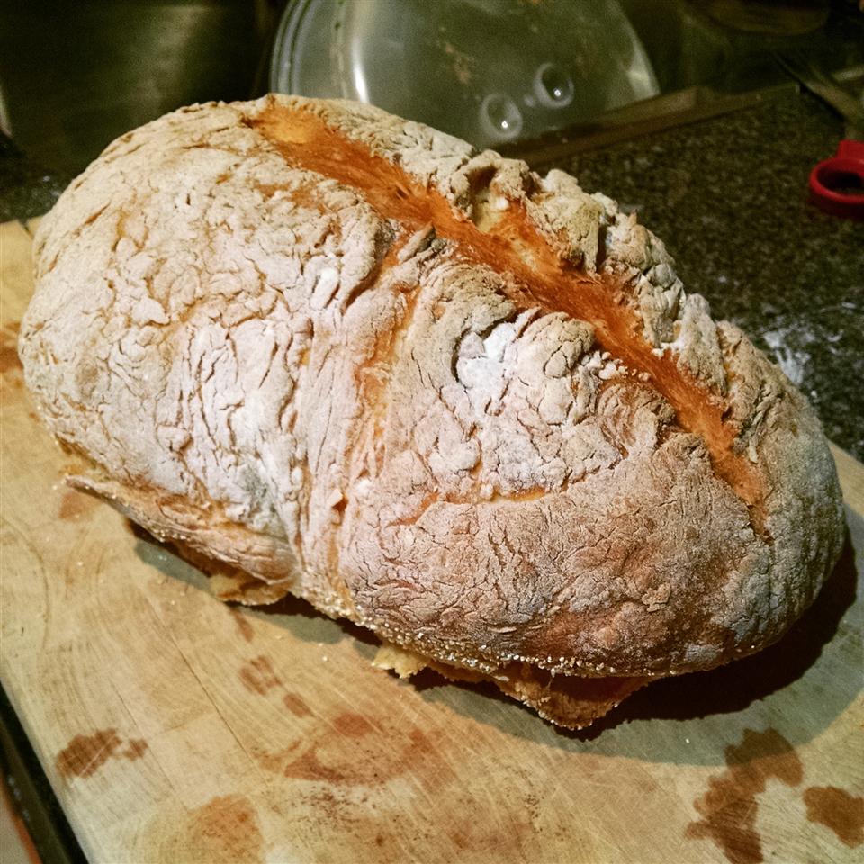 No Knead Beer Bread