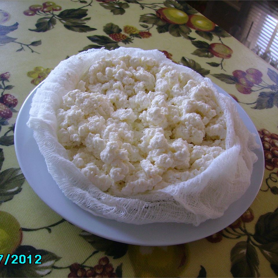 Homemade Fresh Cheese
