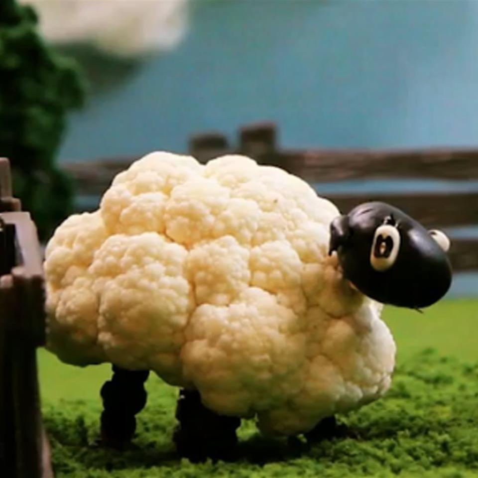Cauliflower Sheep