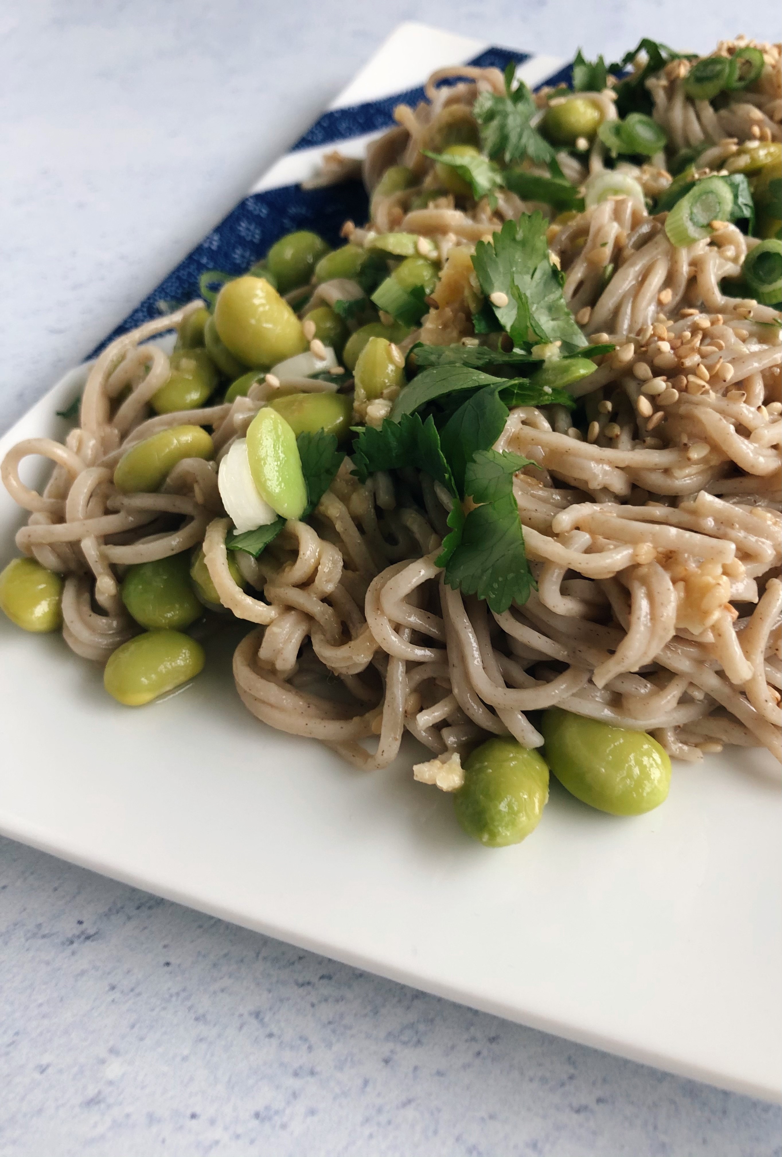 Japanese Soba Noodle Salad