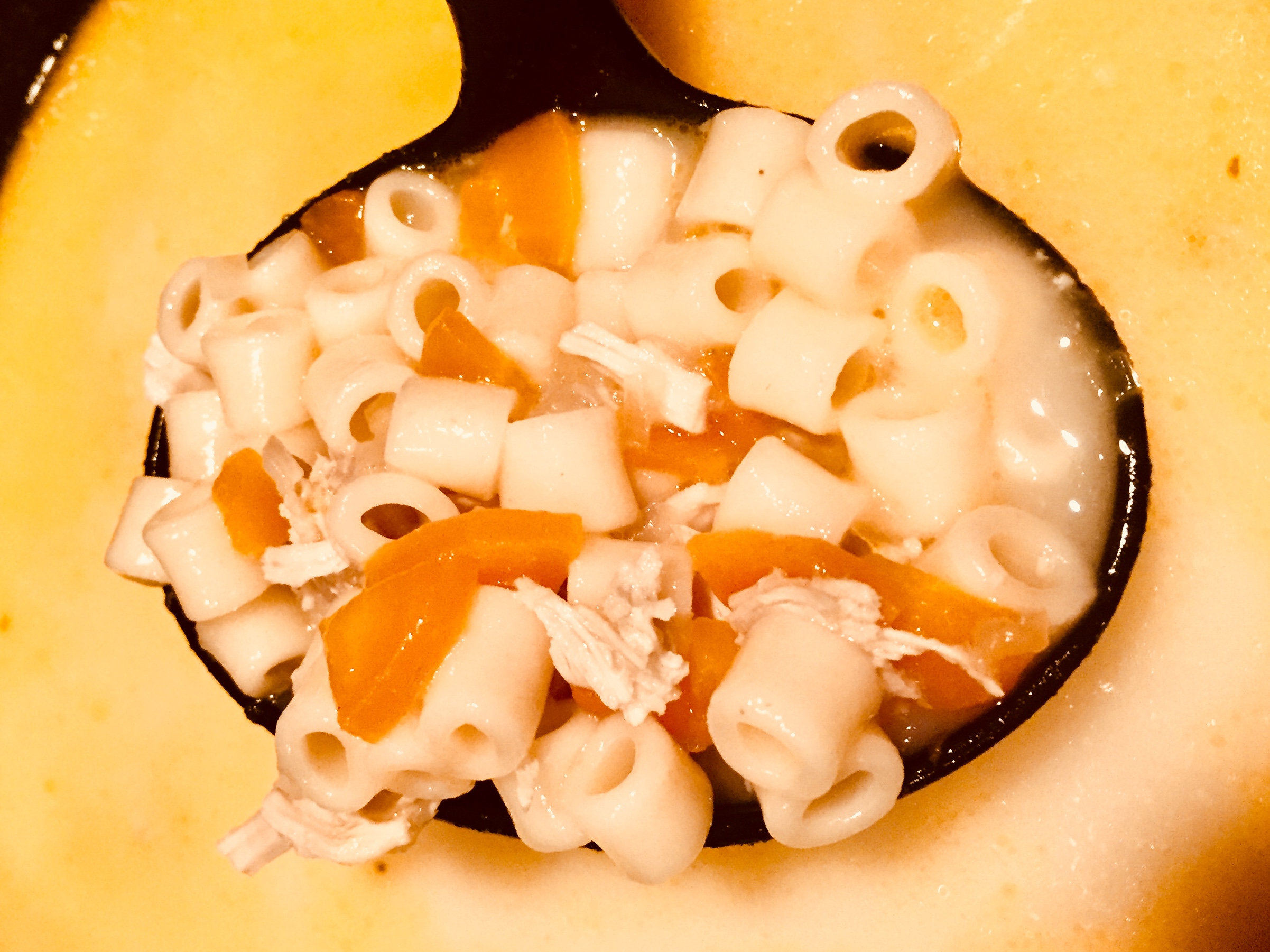 Filipino Chicken Sopas