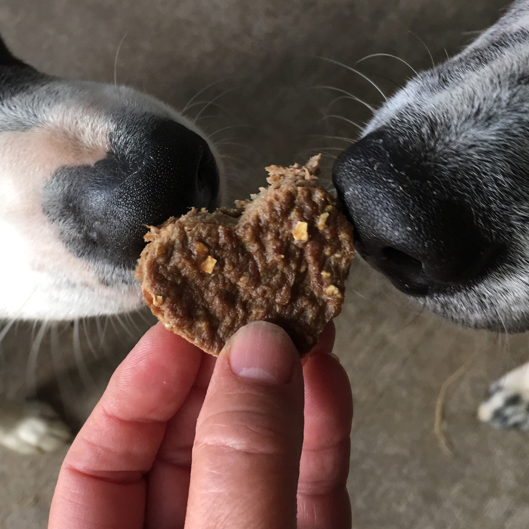 Diabetic Dog Treats