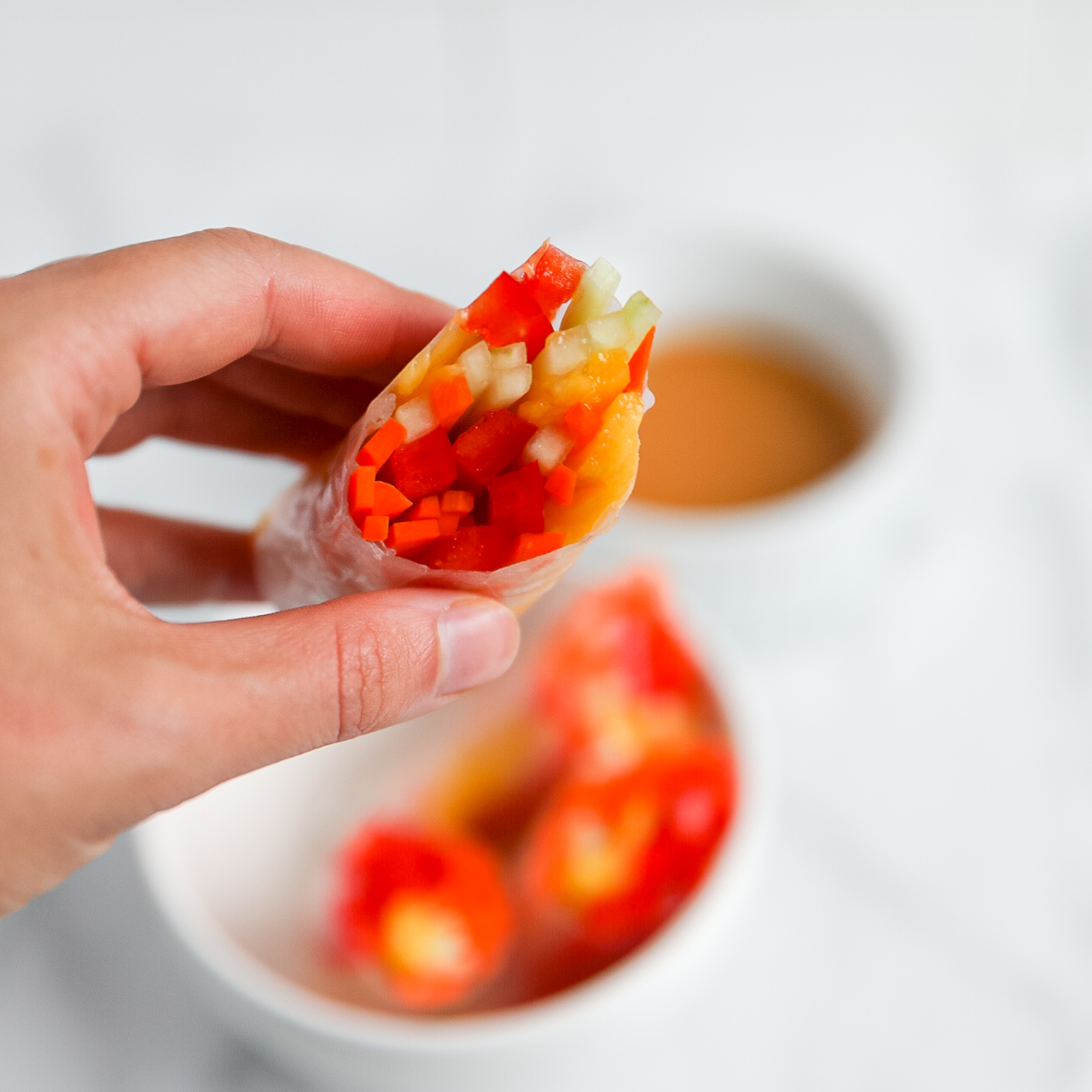 Fresh Thai Spring Rolls