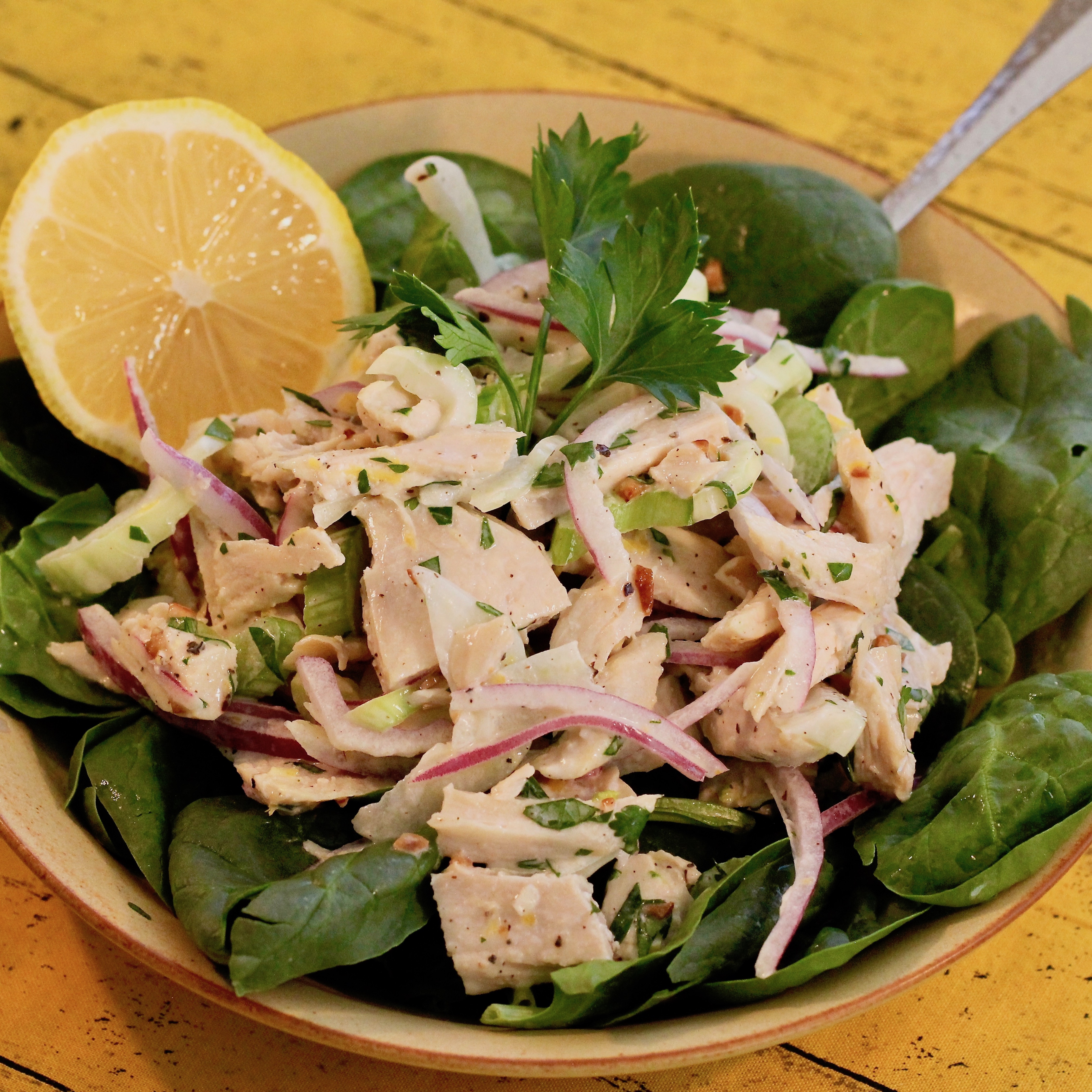 Italian Style Chicken Salad
