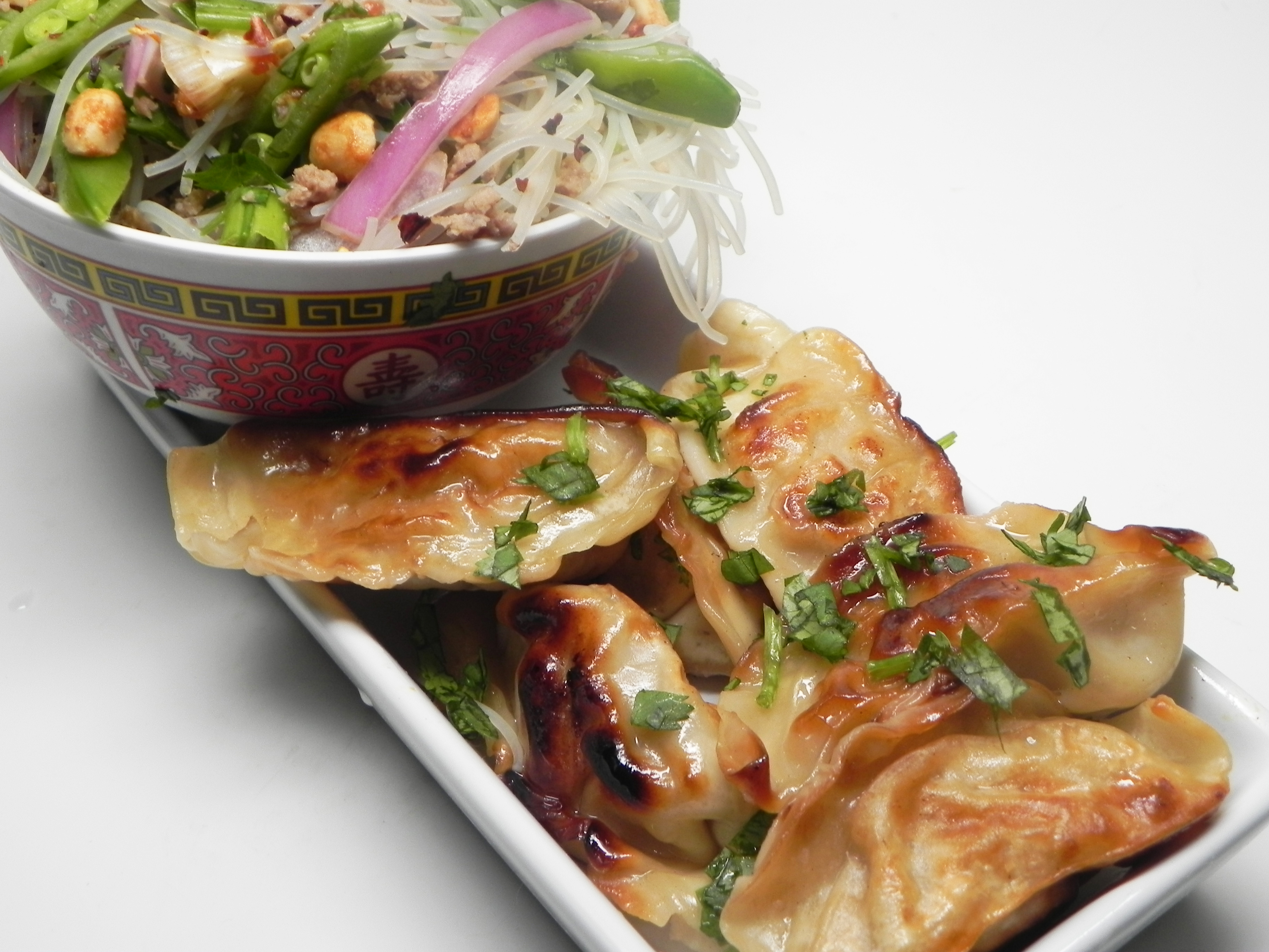 Pan-Fried Chinese Dumplings